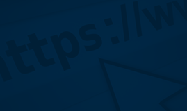 Domain Reports